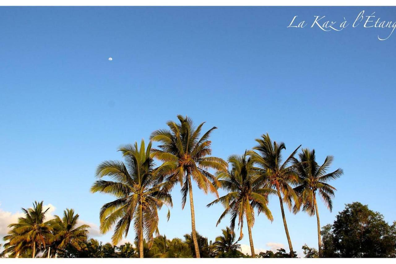 La Kaz A L'Etang - Votre Location De Vacances A L'Ile De La Reunion Saint-Louis Exteriér fotografie